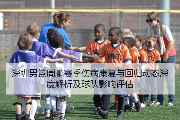 深圳男篮周鹏赛季伤病康复与回归动态深度解析及球队影响评估